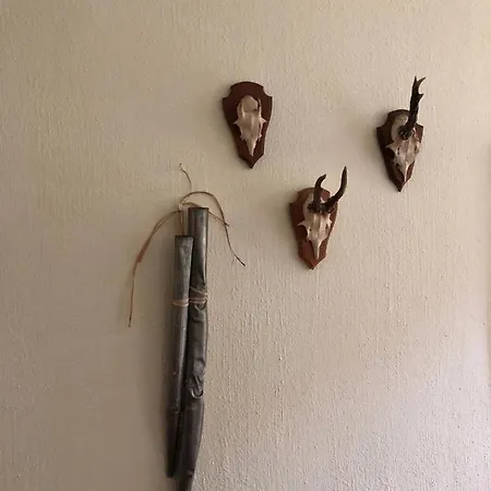 Schwemmer Appartamento *