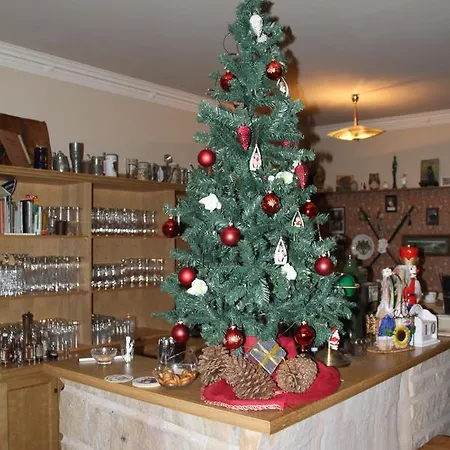Schwemmer Pirna